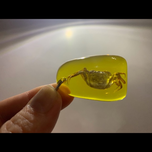 Natural Amber Silver 925 Necklace w/ real crab - Picture 4 of 6